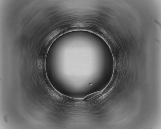 X0000097291017200802151410