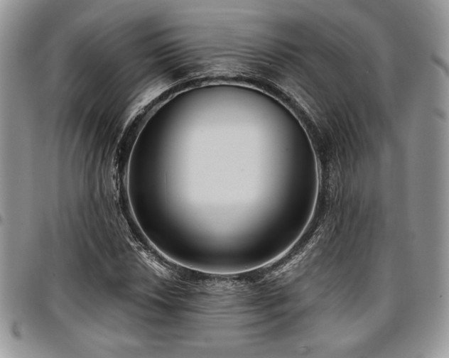 X0000097291018200802151410