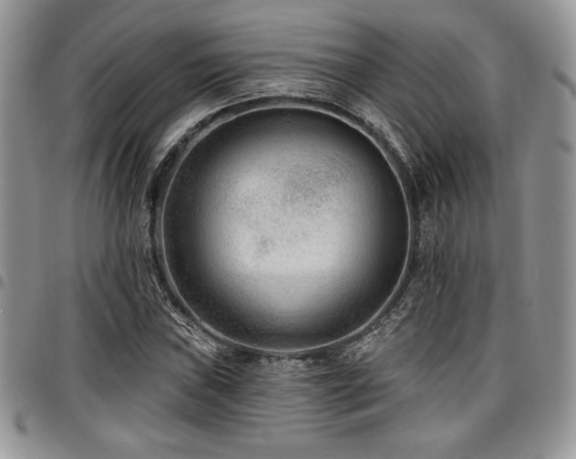 X0000097291019200802151410