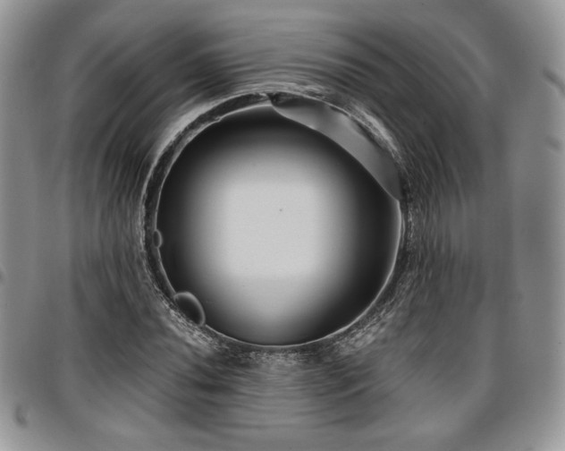 X0000097291020200802151410