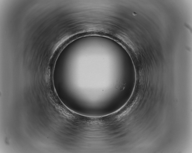 X0000097291021200802151410