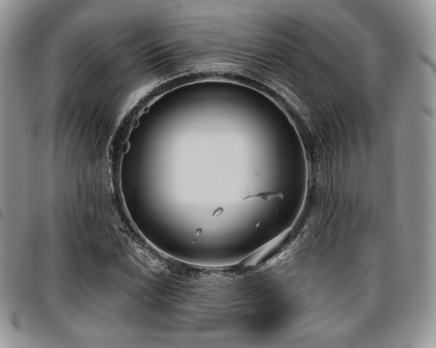 X0000097291022200802151410