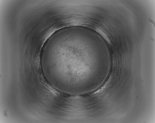 X0000097291023200802151410