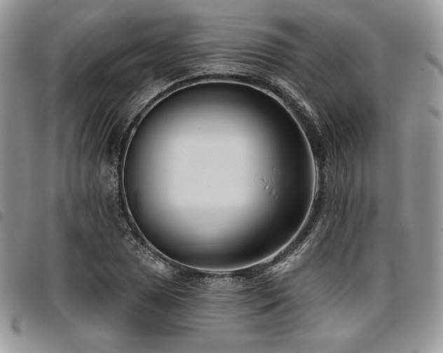 X0000097291025200802151410