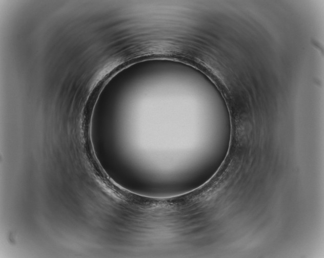X0000097291026200802151410