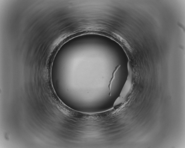 X0000097291027200802151410