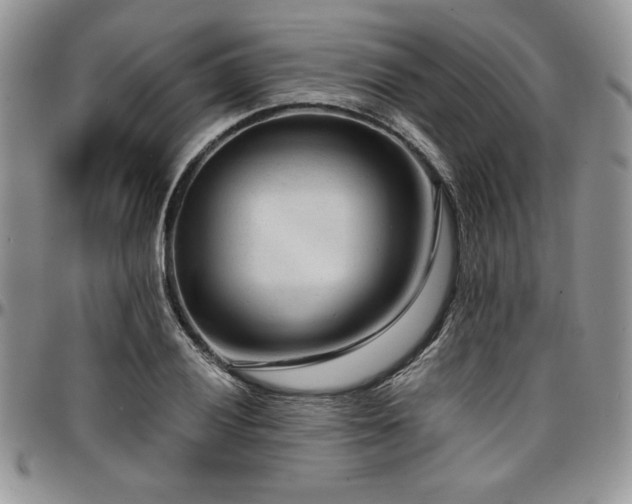 X0000097291028200802151410