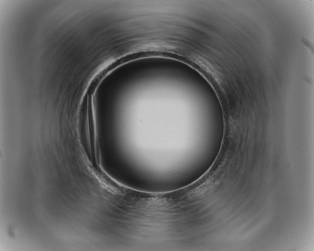X0000097291029200802151410