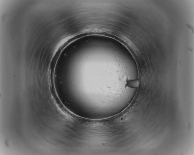 X0000097291030200802151410