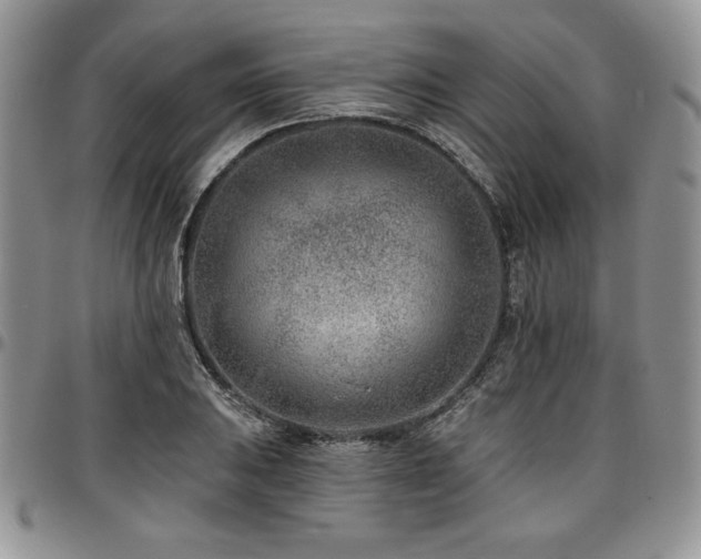 X0000097291031200802151410