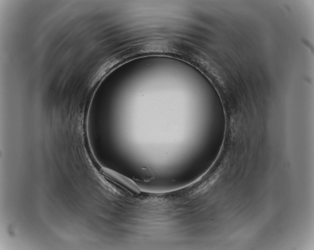 X0000097291033200802151410