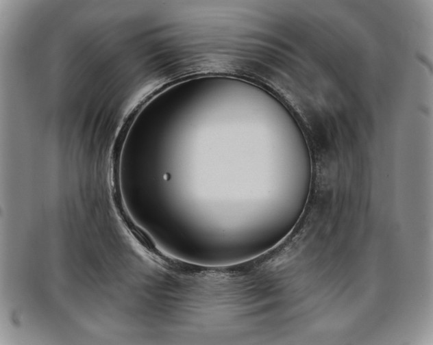 X0000097291034200802151410