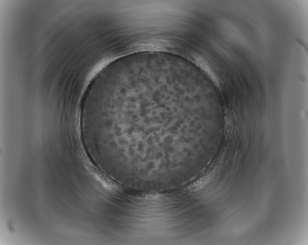 X0000097291035200802151410