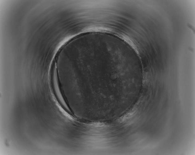 X0000097291037200802151410