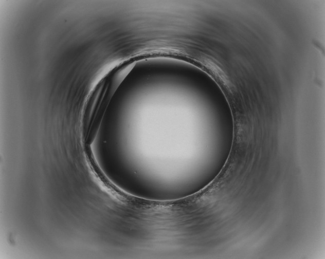 X0000097291038200802151410
