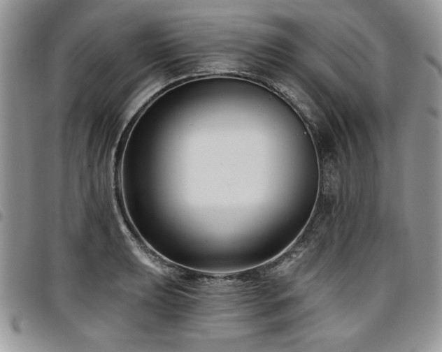 X0000097291039200802151410