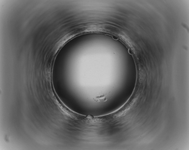 X0000097291041200802151410