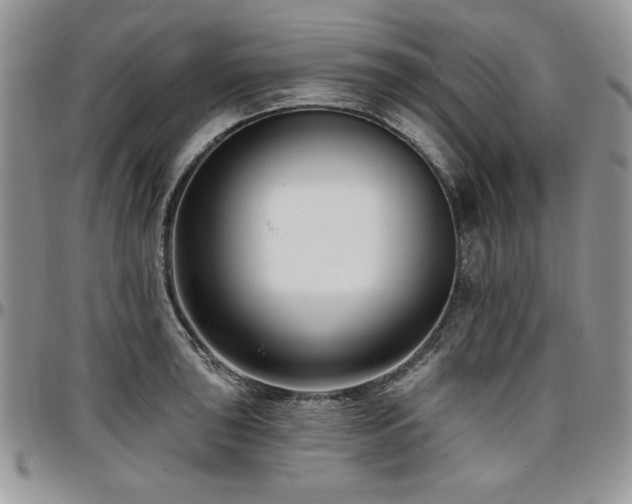 X0000097291043200802151410