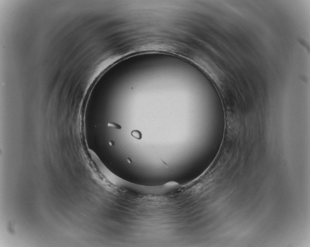 X0000097291044200802151410