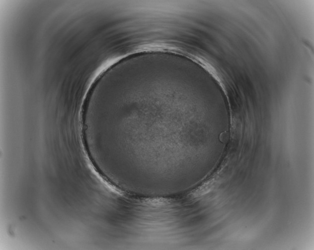 X0000097291045200802151410