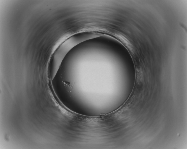X0000097291046200802151410