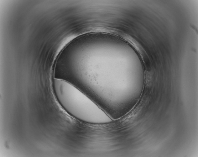 X0000097291048200802151410