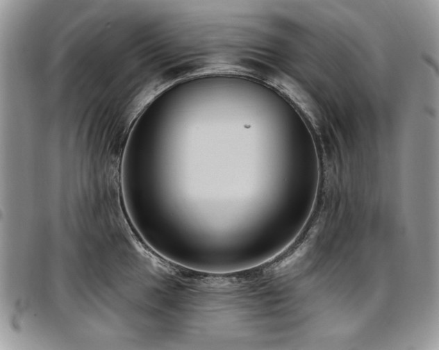X0000097291049200802151410