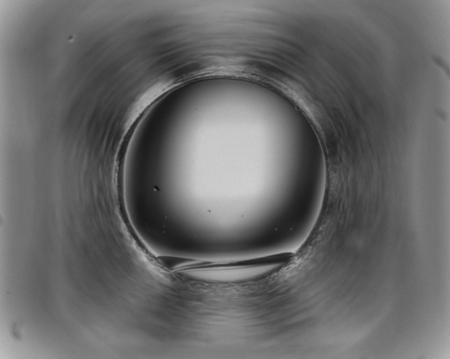 X0000097291050200802151410