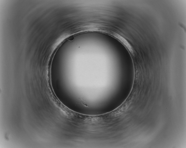 X0000097291051200802151410
