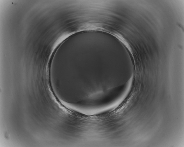 X0000097291053200802151410