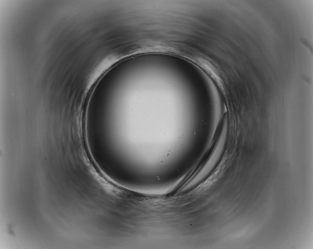 X0000097291054200802151410