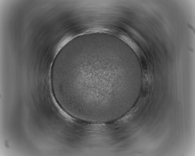 X0000097291055200802151410