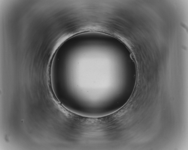 X0000097291056200802151410