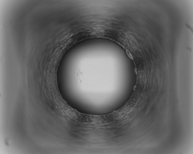 X0000097291057200802151410