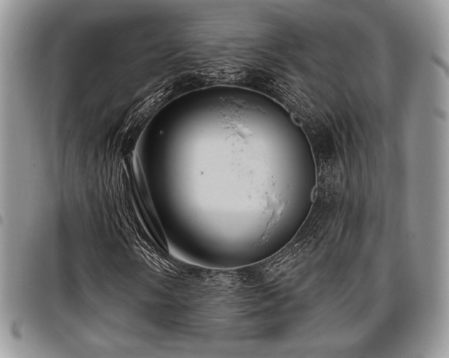 X0000097291058200802151410