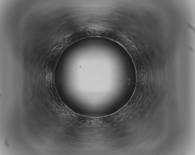X0000097291061200802151409