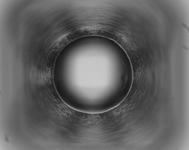 X0000097291062200802151409