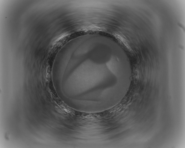 X0000097291063200802151409