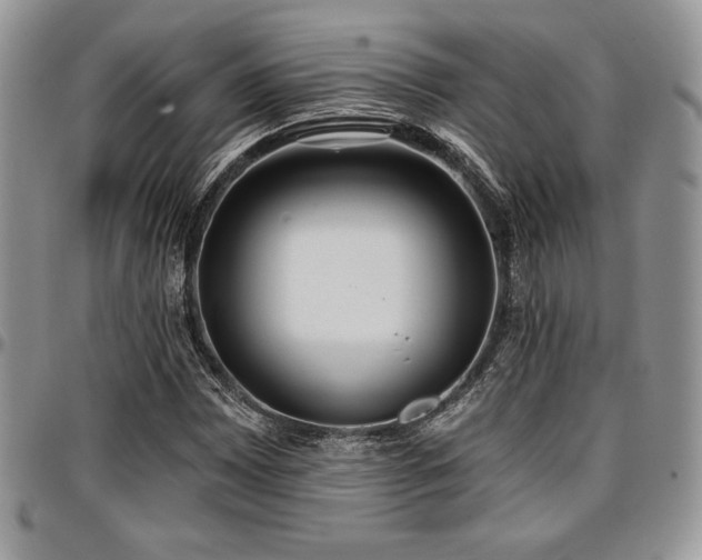 X0000097291065200802151409
