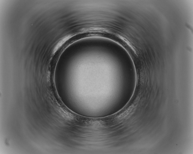 X0000097291066200802151409