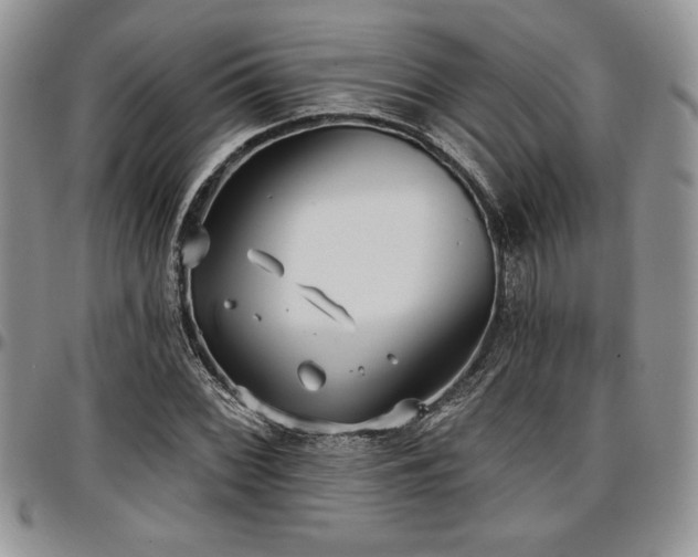 X0000097291068200802151409