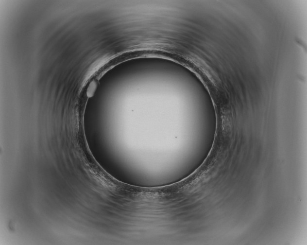 X0000097291069200802151409