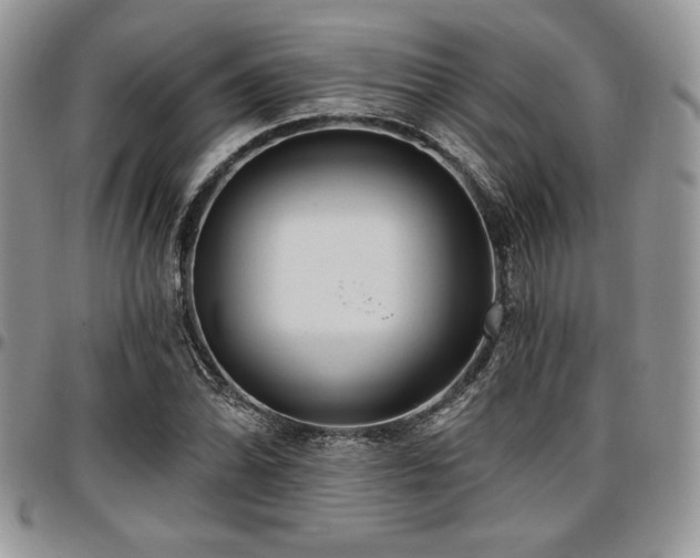 X0000097291070200802151409