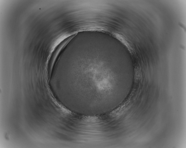 X0000097291071200802151409