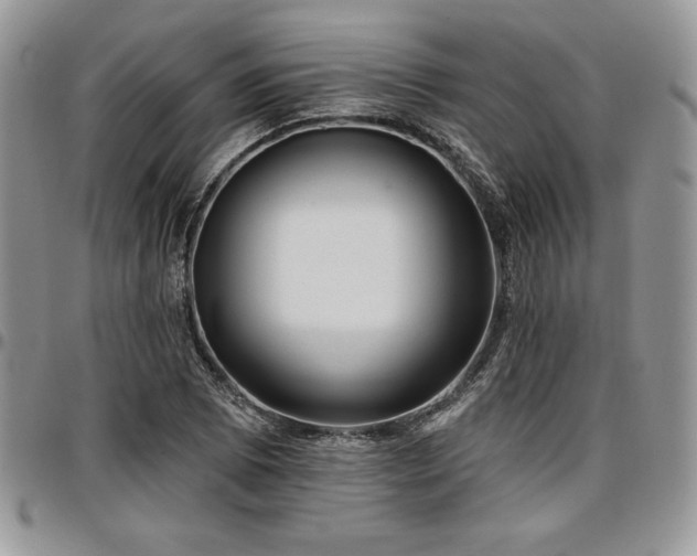X0000097291073200802151409