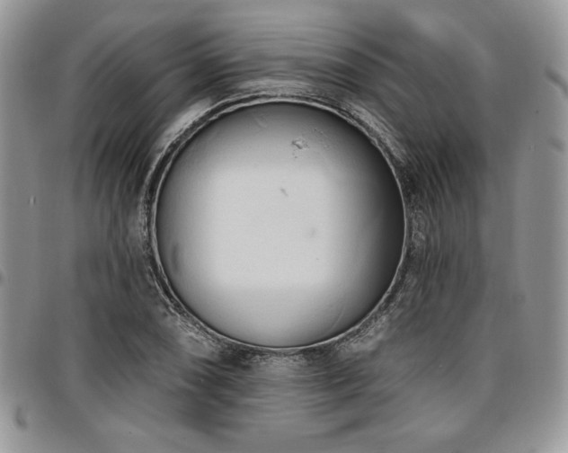 X0000097291074200802151409