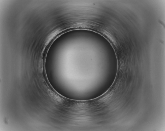 X0000097291075200802151409