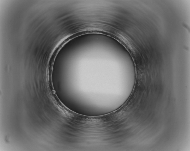 X0000097291076200802151409