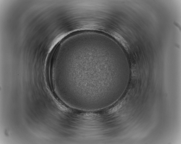 X0000097291077200802151409