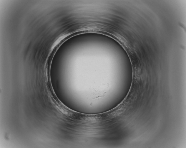 X0000097291078200802151409